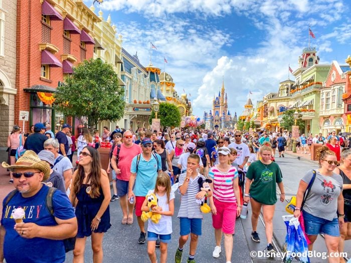 Disney World Crowd Control